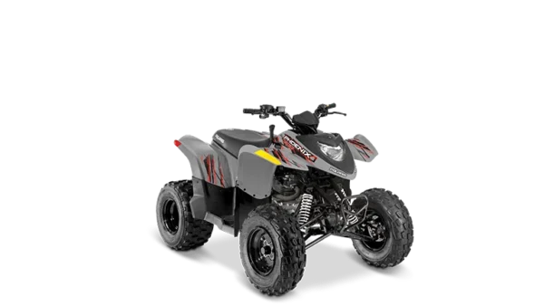 Polaris Phoenix 200 Youth ATV (4-Wheeler) Rental - Peak Adventure Rentals