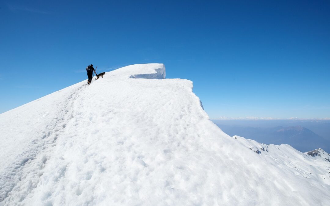 Ski‑Doo Summit 600 Rental: Ready To Conquer The Snow? Your…